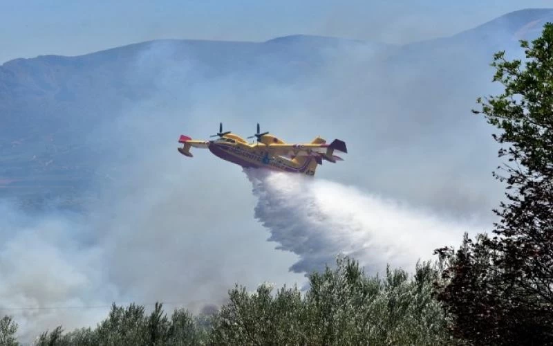 Τέθηκαν υπό μερικό έλεγχο οι πυρκαγιές σε Πρέσπες και Ηλεία